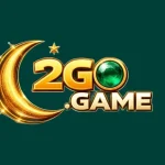 2 Go Game